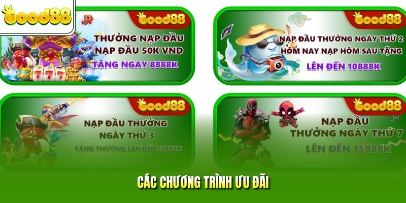 Các chương trình ưu đãi