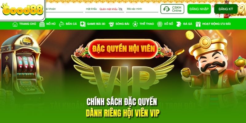 Chính sách đặc quyền dành riêng hội viên VIP